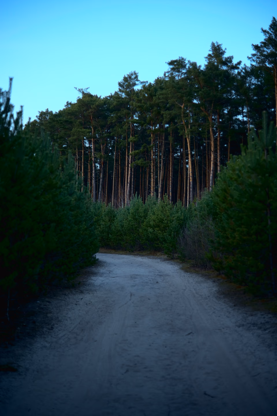 Image from Od Wału do Trzynastki album