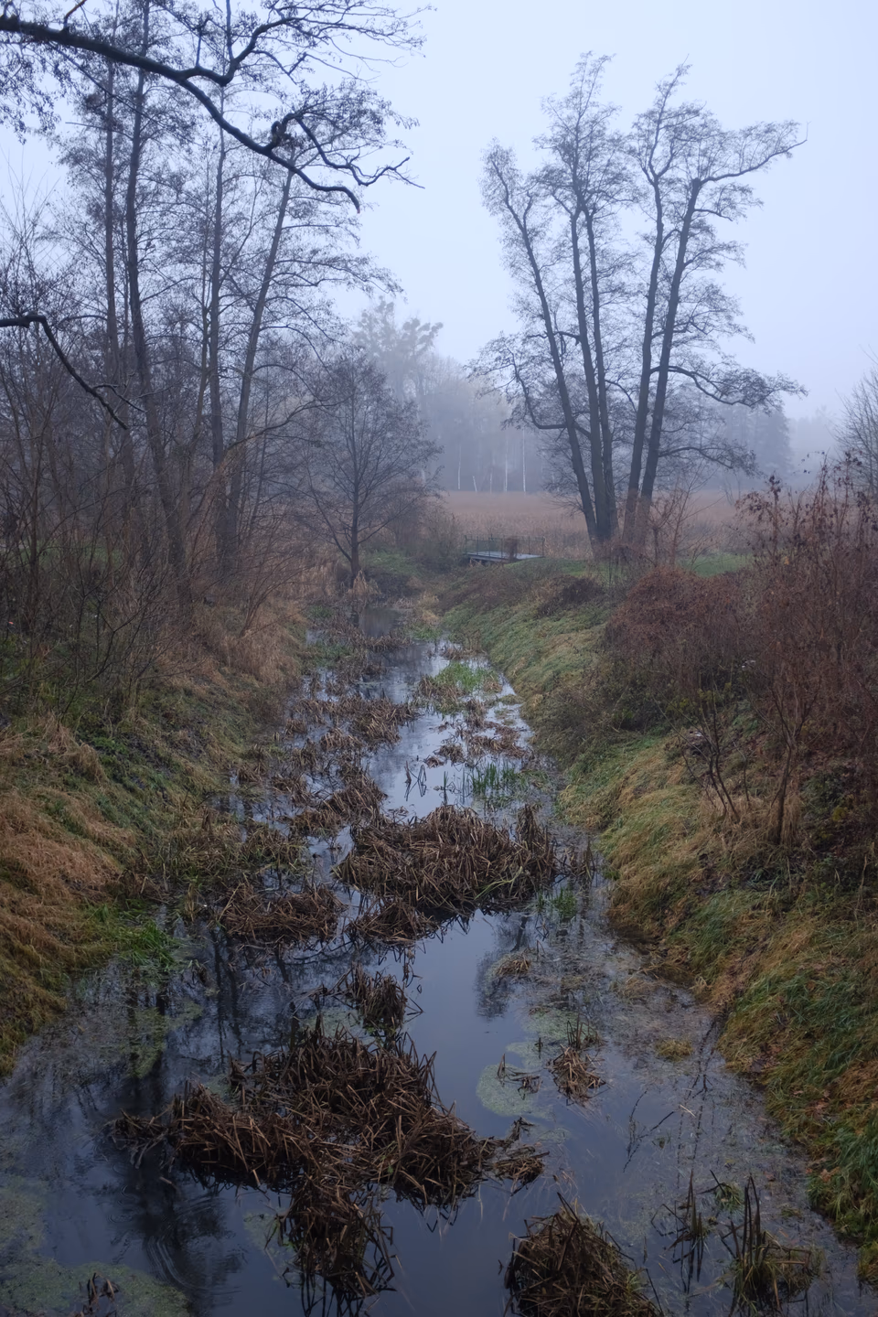 Image from Radośnie jak listopadem w Szamo album