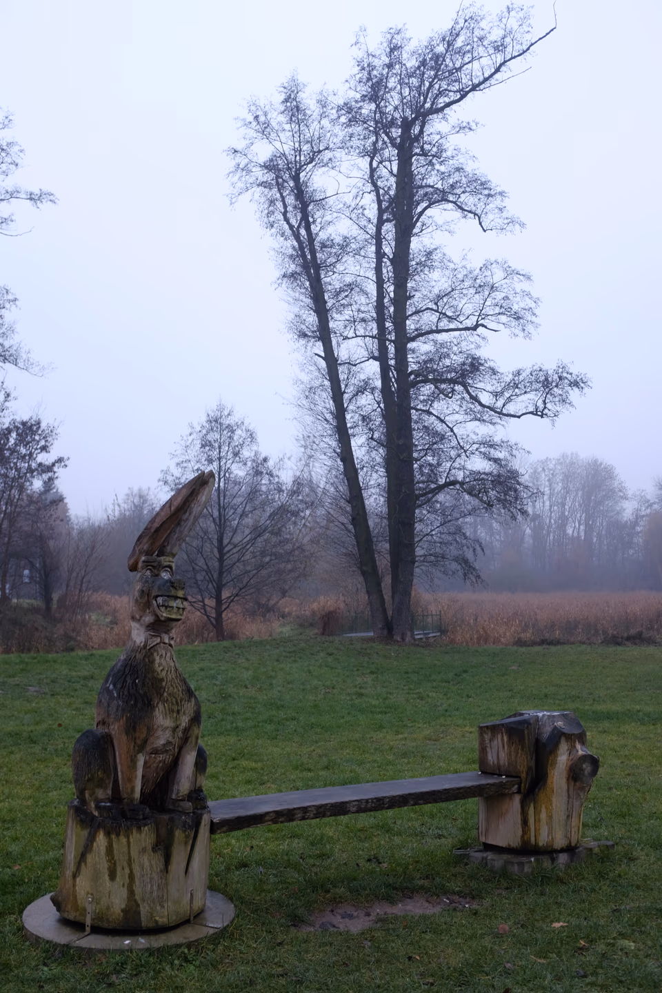 Image from Radośnie jak listopadem w Szamo album