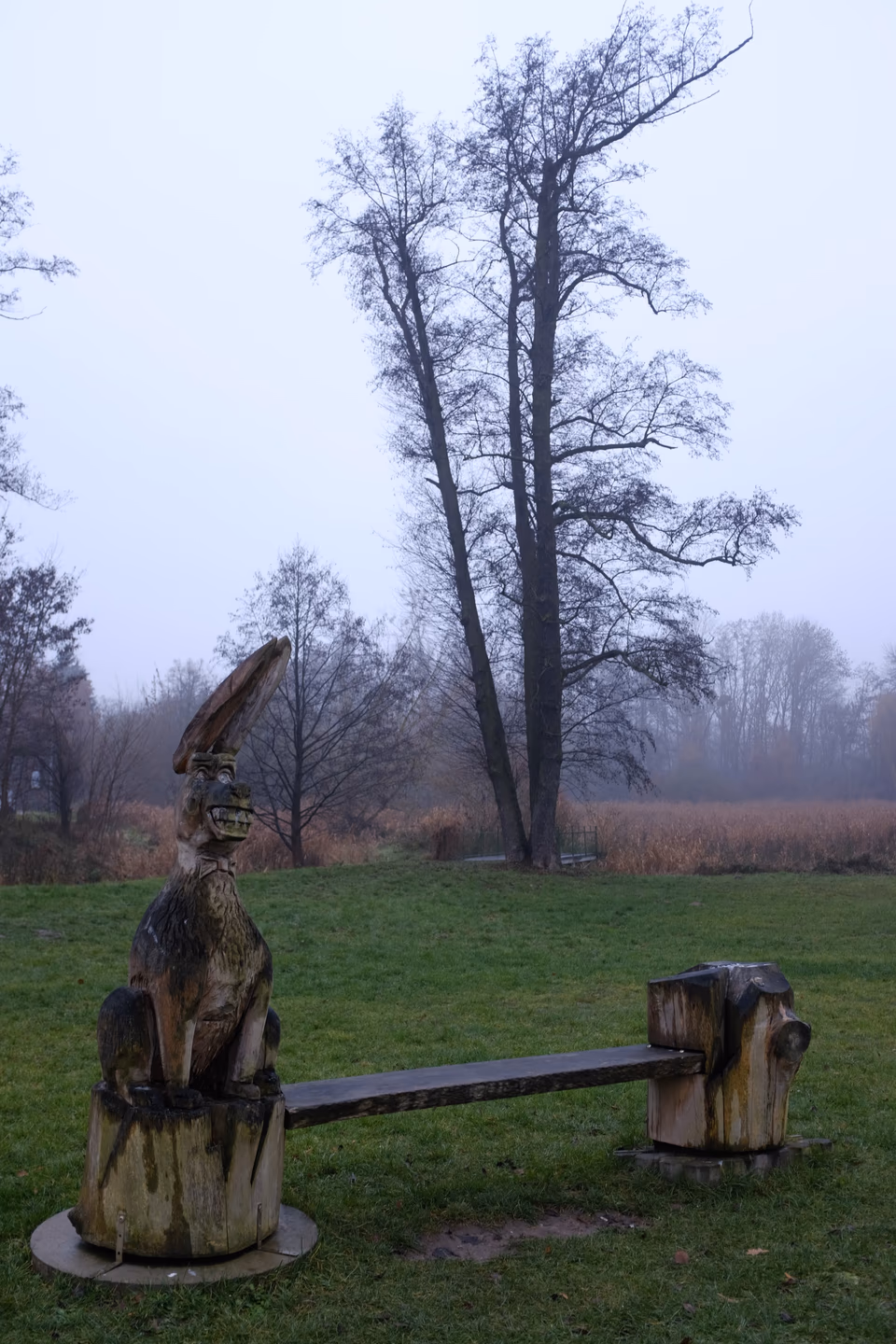 Image from Radośnie jak listopadem w Szamo album