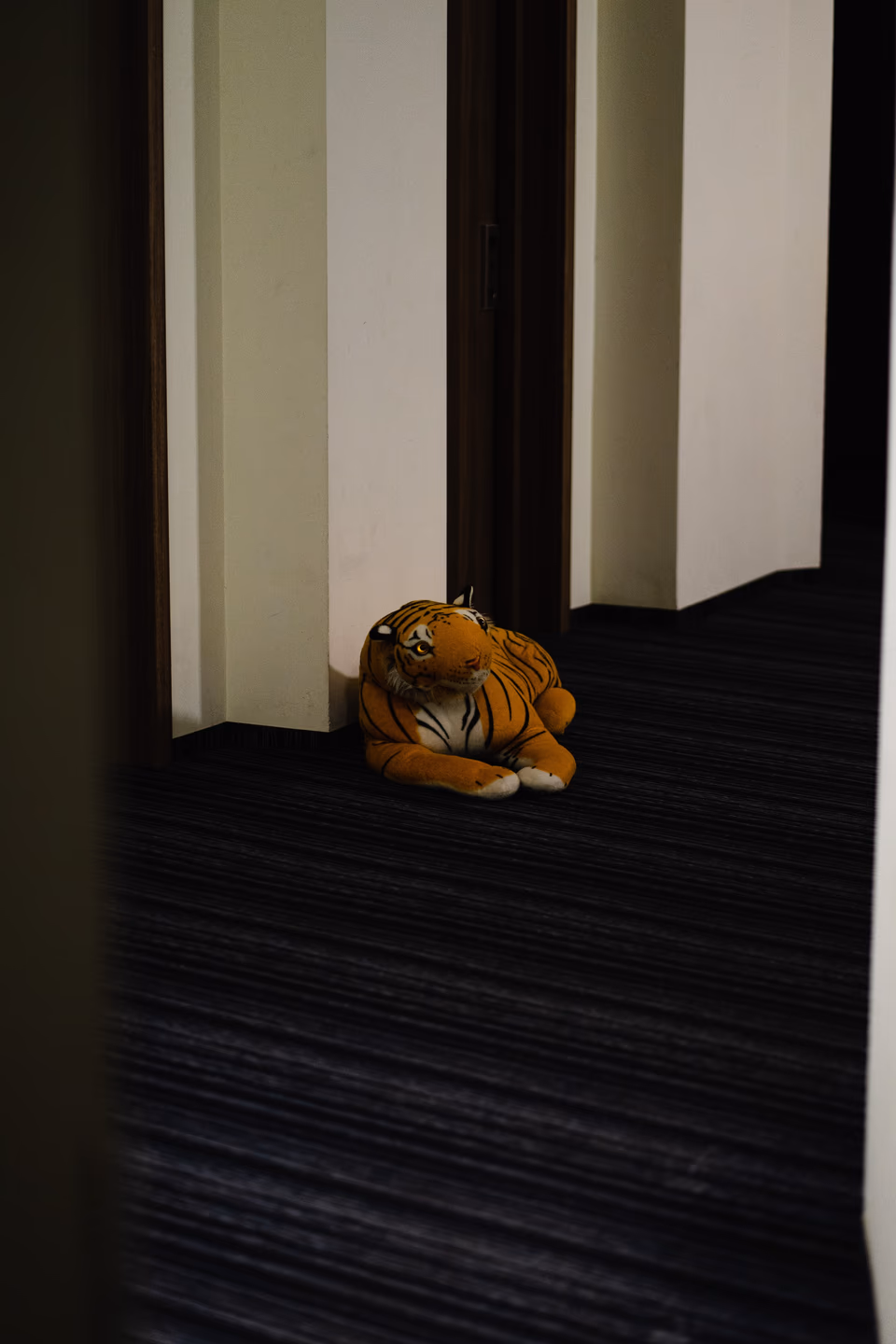 Image from Warszawa w Deszczu album